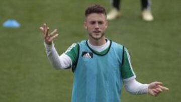 Van Wolfswinkel 