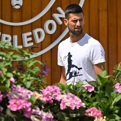 Lorenzo Musetti - Novak Djokovic: apuestas y pronósticos de Wimbledon - 12/7/24