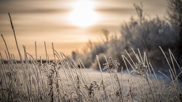 Ya vienen los Reyes Magos…