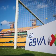 Tigres mascot in hot water after lewd gesture to Rayados fans