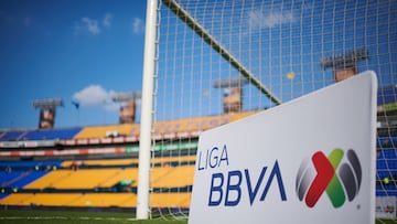 Tigres mascot in hot water after lewd gesture to Rayados fans