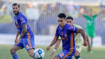 Las 7 cosas que debes conocer de Tigres en el Apertura 2019