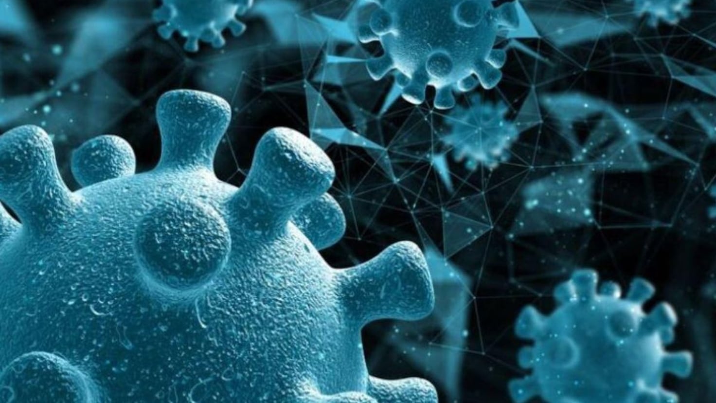 COVID-19 2024: What is the KP.3 variant and what are its symptoms? - AS USA