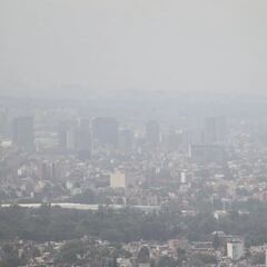 Se mantiene Fase 1 de contingencia ambiental en CDMX: Autos que deberán suspender la circulación vehicular