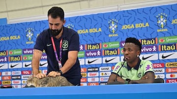 Qatar 2022: Brasil recibe denuncia por maltrato animal luego de que Vinicius Rodrigues lanzara al gato ‘Hexa’ al suelo. Exigen una multa de miles de dólares.