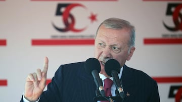Turkish President Tayyip Erdogan attends a military parade to mark the 1974 Turkish invasion of Cyprus in response to a short-lived Greek-inspired coup, in the Turkish-controlled northern Cyprus, in the divided city of Nicosia, Cyprus July 20, 2024. REUTERS/Yiannis Kourtoglou
