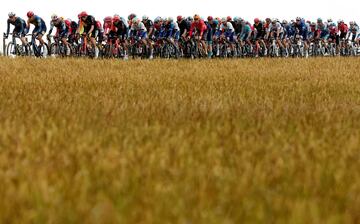 Vista general de los ciclistas en su participación en la etapa 8 del Tour.