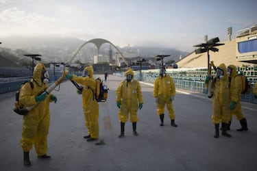 Todo lo que debes conocer sobre el virus zika