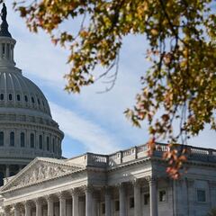 Elecciones USA 2020: ¿Qué pasa si en el Senado hay mayoría Republicana?