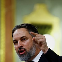 Abascal amenaza al PP con romper acuerdos si no frena la ley de amnistía en el Senado