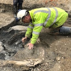 Descubren los restos de al menos 5 mamuts de la Edad de Hielo