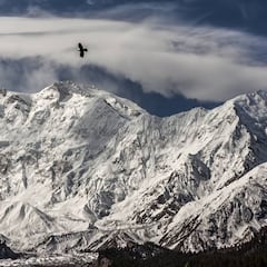 Two alpinists go missing on Nanga Parbat