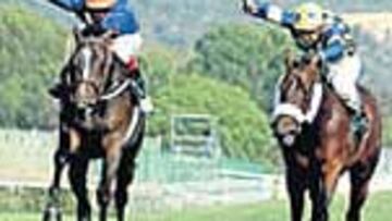 What a Caper (izquierda).