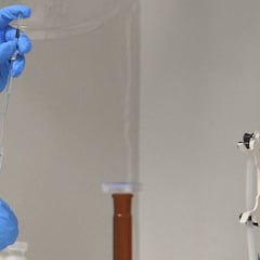 España compra las primeras vacunas contra el coronavirus