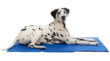 Refresca a tu mascota en verano con la manta refrigerante para perros mejor valorada