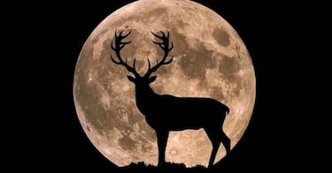 Luna Llena de julio 2025: origen, significado, cuándo y a qué hora ver la Luna de Ciervo