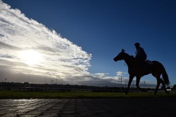Matthew Gatt sobre su caballo Etymology tras una carrera observan el cielo sobre el Moone Valle Racecourse en Melbourne, Australia