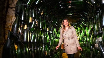 Viñedos de Jasnières y Fiefs Vendéens: tesoros ocultos para el paladar y los sentidos