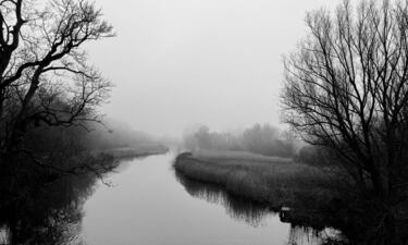 © IPPAWARDS - Jens Petersen - Germany