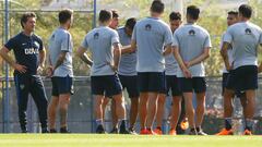 Guillermo hará cinco cambios