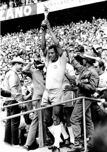 Profesional entre 1963 y 1981. 