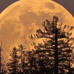 Calendario lunar marzo 2025: ¿cuáles son las fases de la luna y cuándo habrá luna llena este mes?