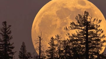 Calendario lunar junio 2025: ¿cuáles son las fases de la luna y cuándo habrá luna llena este mes?