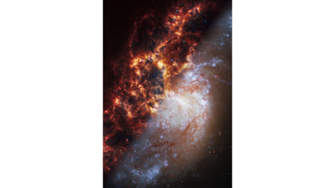 El Telescopio Espacial James Webb muestra nuevas imágenes de 19 galaxias diferentes