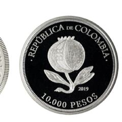 Moneda de 10.000 pesos: cuándo estará disponible y cómo conseguirla