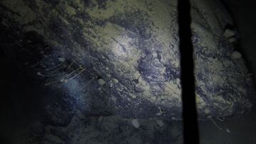 Descubren organismos vivos bajo la capa de hielo de la Ant¨¢rtida
