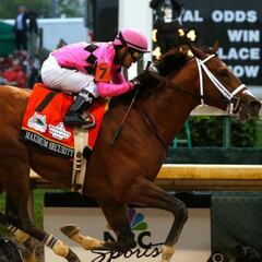 Concurso completo de hípica en los Juegos de París 2024: reglas, formato, pruebas y puntuación