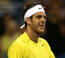 Del Potro jugará la gran final contra el local John Isner