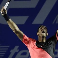 Juan Martín del Potro, dueño del Abierto Mexicano de Tenis
