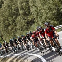 Resúmen de la 7ª etapa: gana Van Genechten, caída de Contador