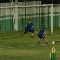 La definición de Brereton ante Arias en la práctica: ¿titular?