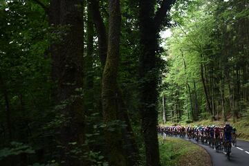 Ciccone se viste de amarillo en la sexta etapa del Tour