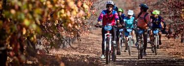 La Vacada Carlo de Gavardo se alista para recibir su edición más numerosa