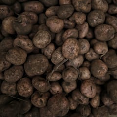 Precio de alimentos en Colombia: ¿cuáles han subido y cuáles han bajado?