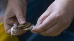 Potenciar Trabajo en julio: cuándo llega, cuánto se cobra, montos y qué pasa