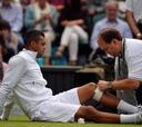 Tsonga, Darcis, Isner, Cilic y Stepanek se retiran por lesión