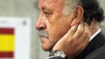 <strong>VICENTE DEL BOSQUE.</strong>