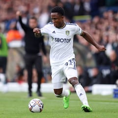 Luis Sinisterra volvería a jugar con Leeds después del Mundial