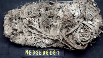 Los científicos topan con un zapato de 650 años en un nido de buitres en España: dicen que es solo el principio