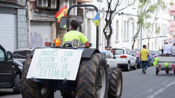 Un tractor durante una manifestación de agricultores, a 24 de febrero de 2024, en Santa Cruz de Tenerife, Tenerife, Islas Canarias (España). Los agricultores y ganaderos de Tenerife se han movilizado hoy para reivindicar sus derechos y pedir mejoras para sus sectores. En Madrid, está prevista una gran tractorada para el próximo lunes, 26 de febrero, con cientos de vehículos y miles agricultores frente al Ministerio de Agricultura. Los agricultores llevan reclamando mejoras en el sector desde el pasado 6 de febrero, cuando comenzaron las protestas masivas por toda España y siguen con sus manifestaciones tras no llegar a ningún acuerdo con el ministro de Agricultura.
24 FEBRERO 2024;GANADEROS;AGRICULTORES;TRACTORES;PROTESTAS;MEJORAS
Estefanía Briganty  / Europa Press
24/02/2024