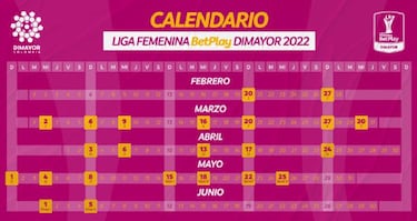 Dimayor define el calendario de la Liga Femenina 2022