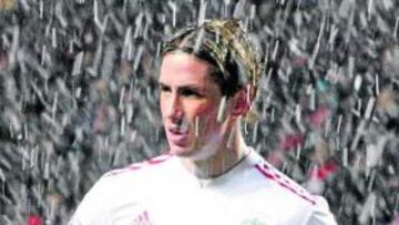 Fernando Torres