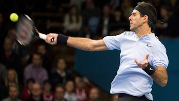 Del Potro derriba a Dimitrov y reválida el título en Suecia