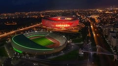 World Cup dark horses come in the form of Lions