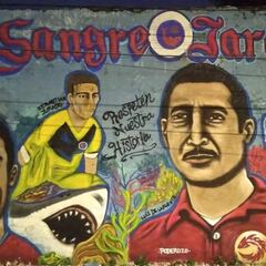 Aficionados veracruzanos no quieren a otro equipo que no sean los Tiburones Rojos