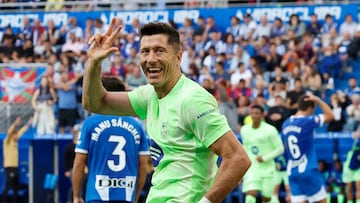 Un lobo polaco en Vitoria